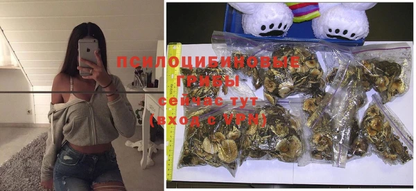 мяу мяу кристалл Бородино