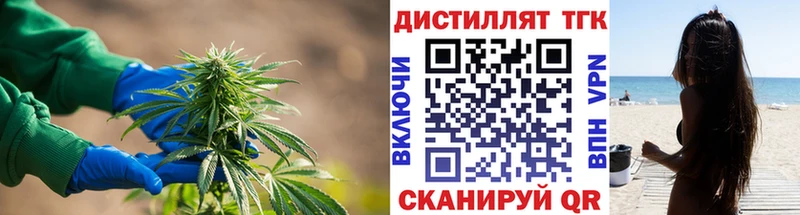 ОМГ ОМГ зеркало  купить наркотик  Выборг  Дистиллят ТГК гашишное масло 
